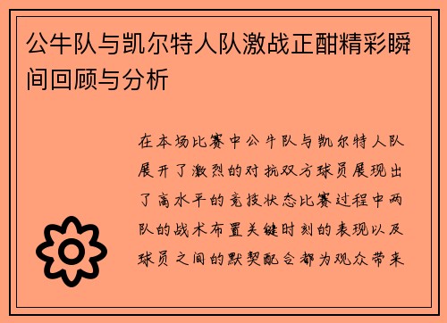 公牛队与凯尔特人队激战正酣精彩瞬间回顾与分析