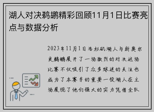 湖人对决鹈鹕精彩回顾11月1日比赛亮点与数据分析